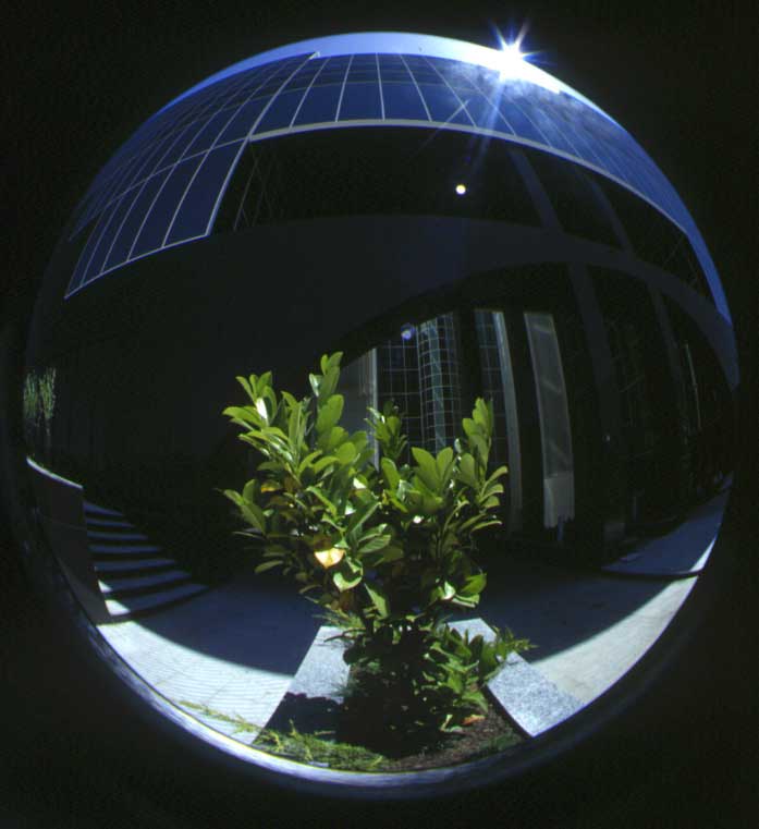 20061006112958-planta-ojodepez.jpg