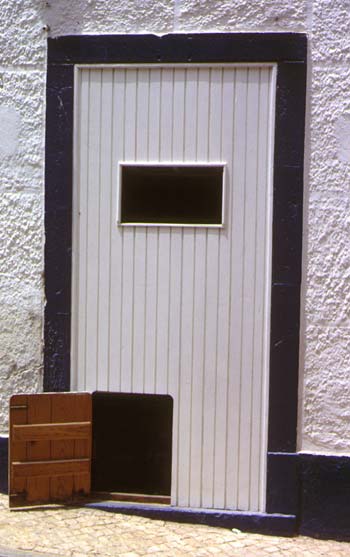 20061107125815-puerta-gatera1.jpg
