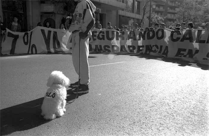 20071016164146-caniche.jpg