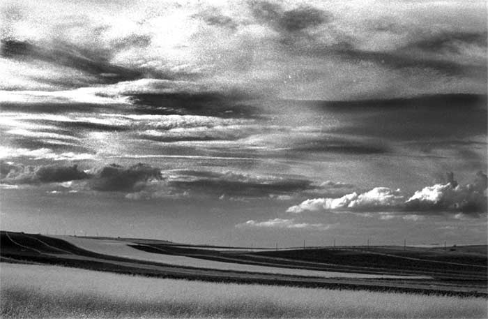 20080312003713-rastrojo-con-nubes-1.jpg