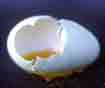 http://mishuevos.blogia.com/2006/120201-veracruz-mexico-te-miramos-todos.php#comentarios